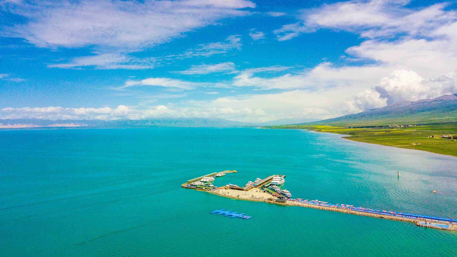 青海旅游公司招聘