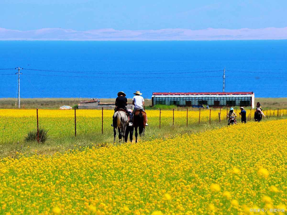 青海旅行社官网电话号码查询网